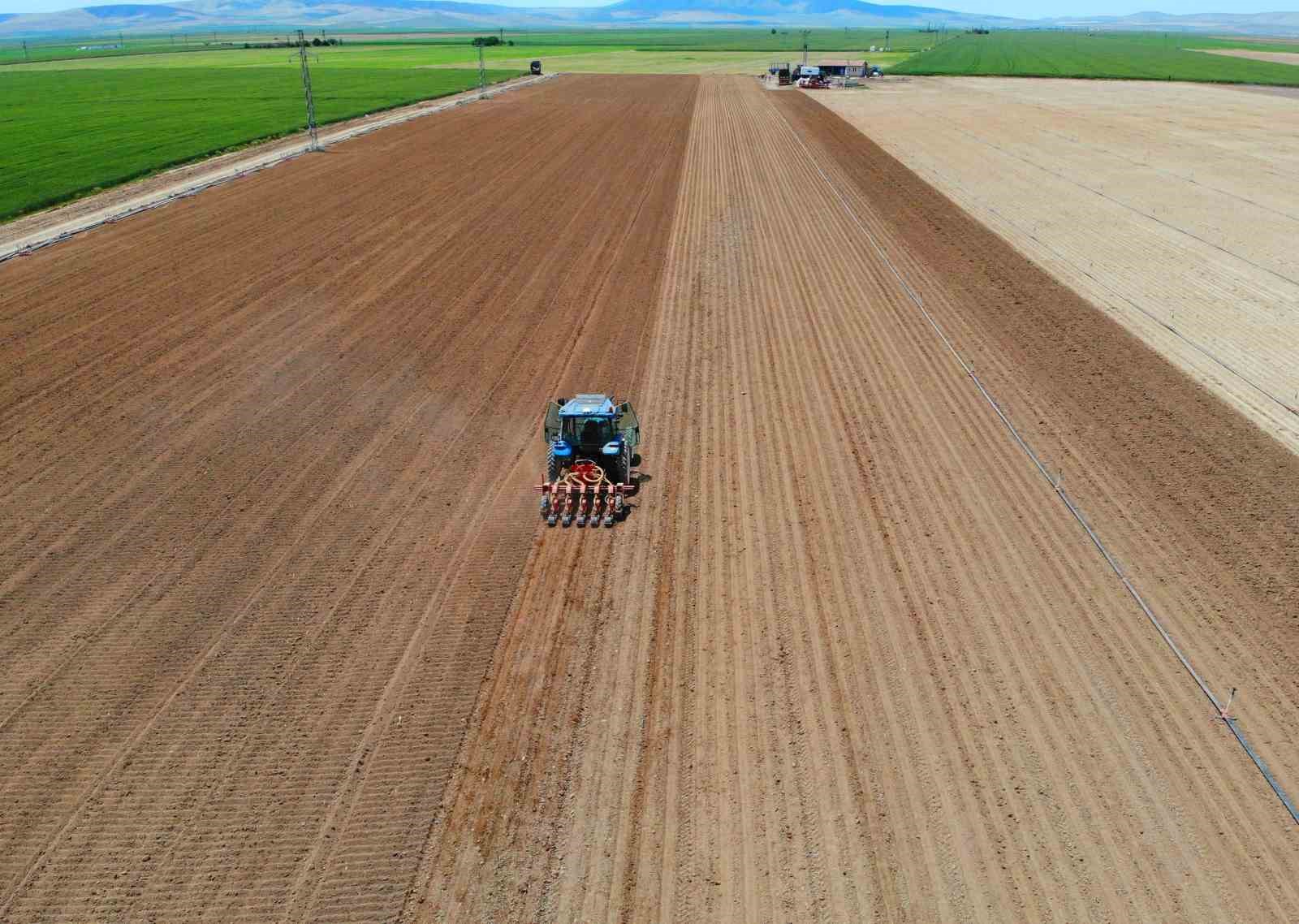 ‘Kiralık tarla’ uygulaması başladı, uzmanlardan uyarı geldi