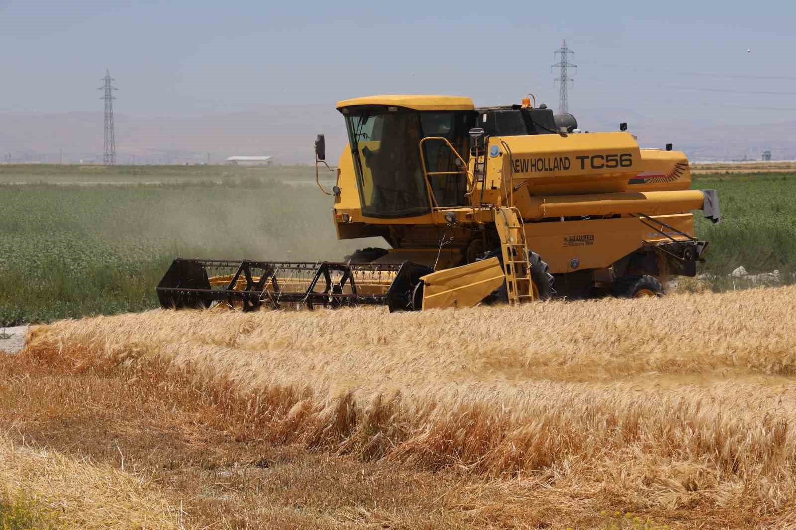 ‘Kiralık tarla’ uygulaması başladı, uzmanlardan uyarı geldi