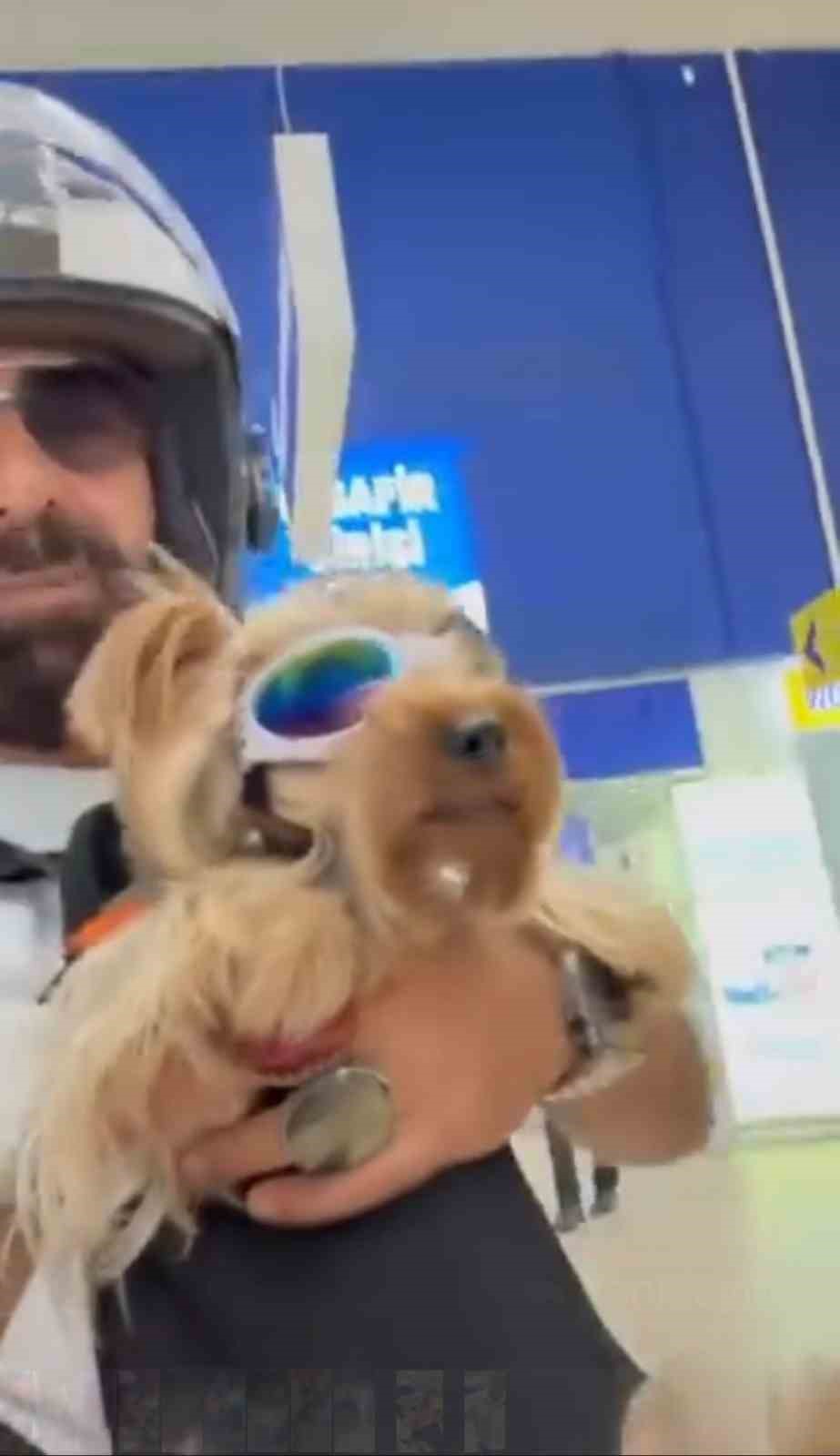 Köpeği ile markete alınmayan vatandaş isyan etti