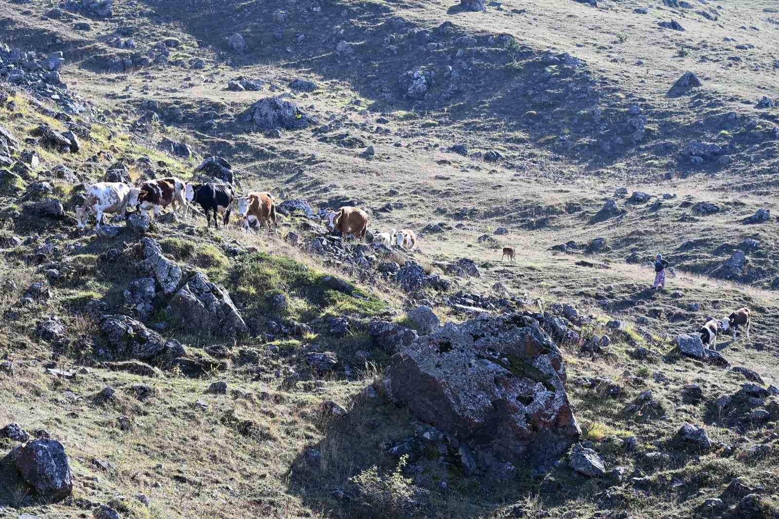 Gümüşhane’de genç muhtarın Türkiye’ye ilham veren başarı hikayesi