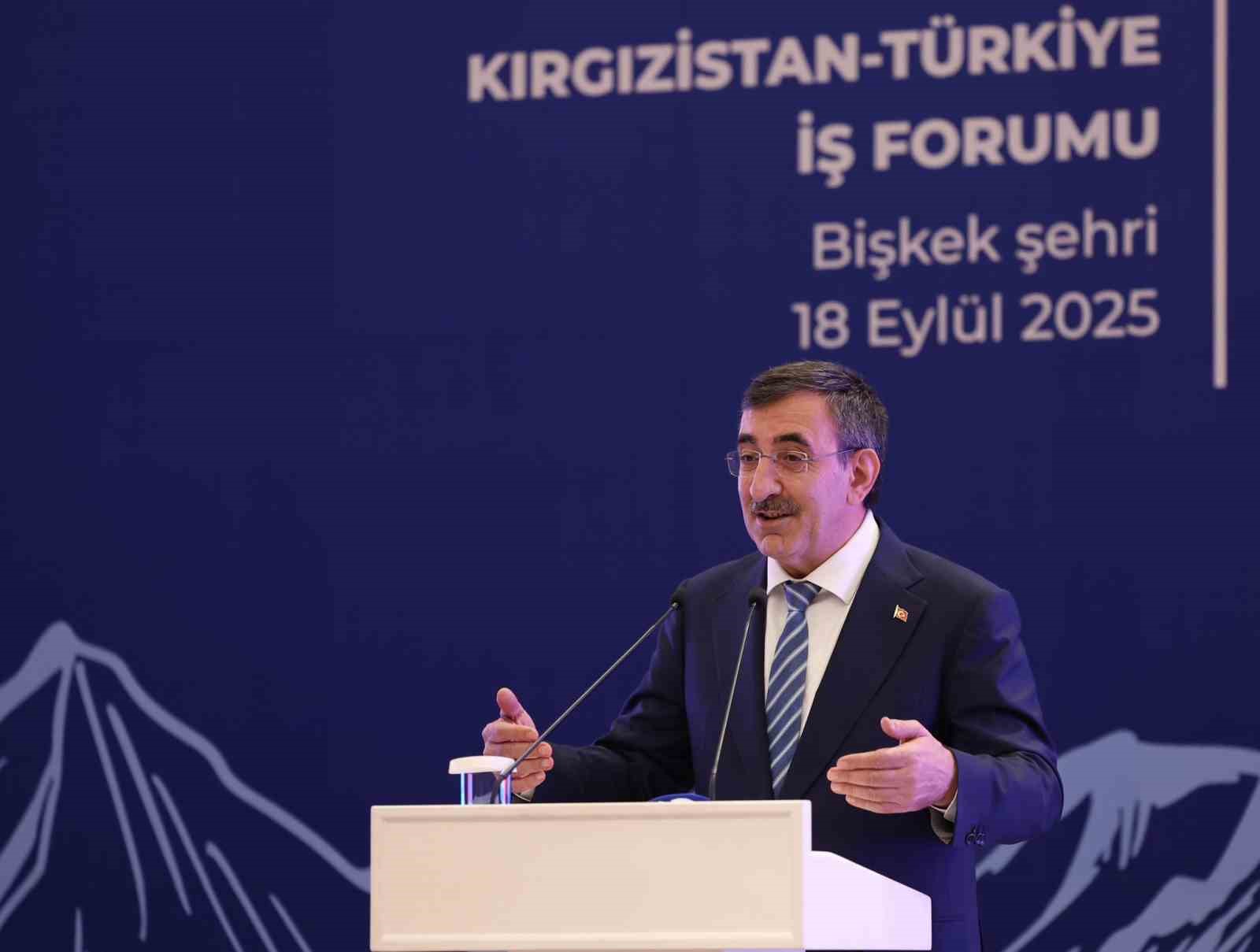 Cumhurbaşkanı Yardımcısı Yılmaz: 