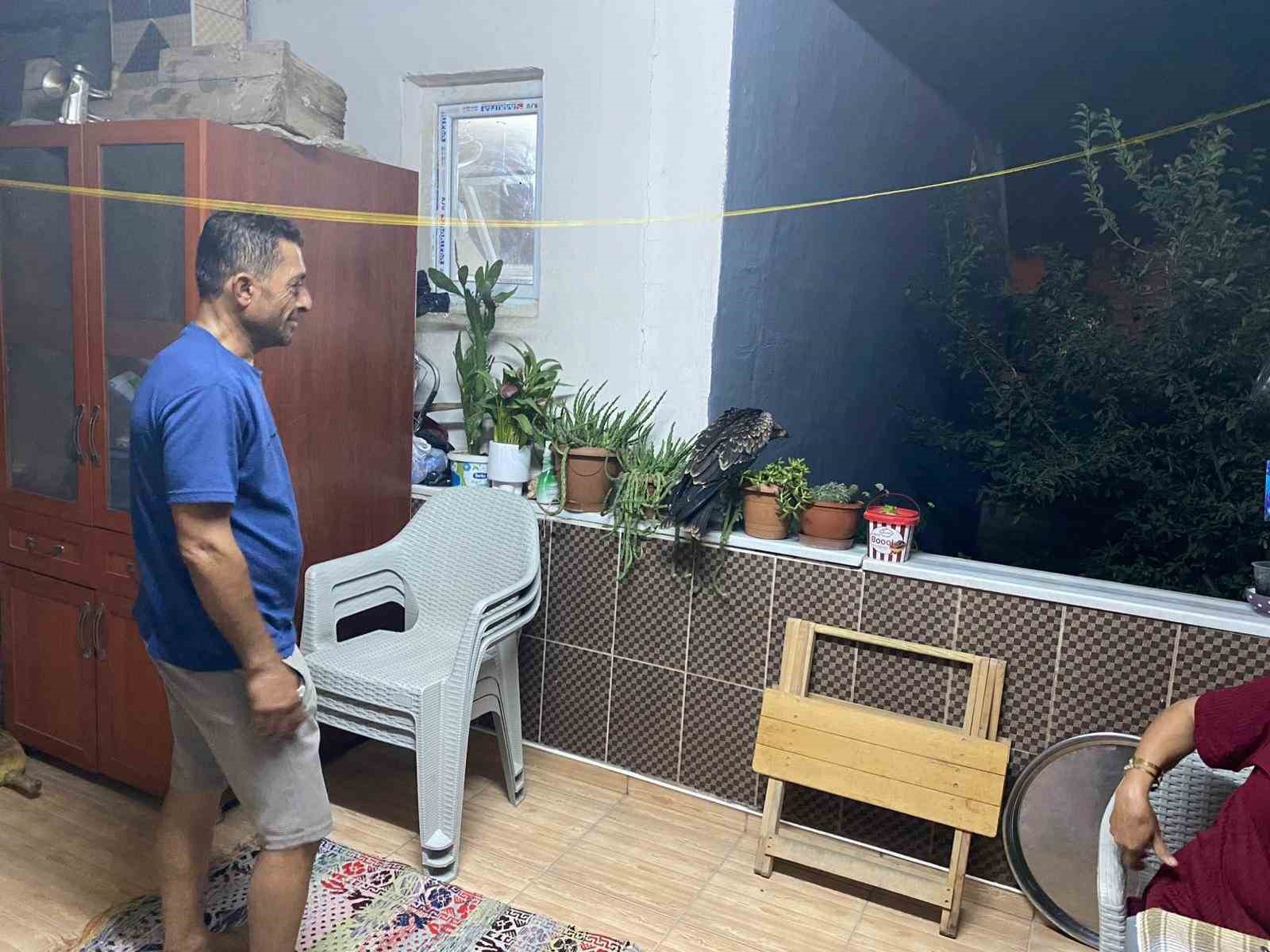 Bulduğu şahine ciğer dürüm söyledi