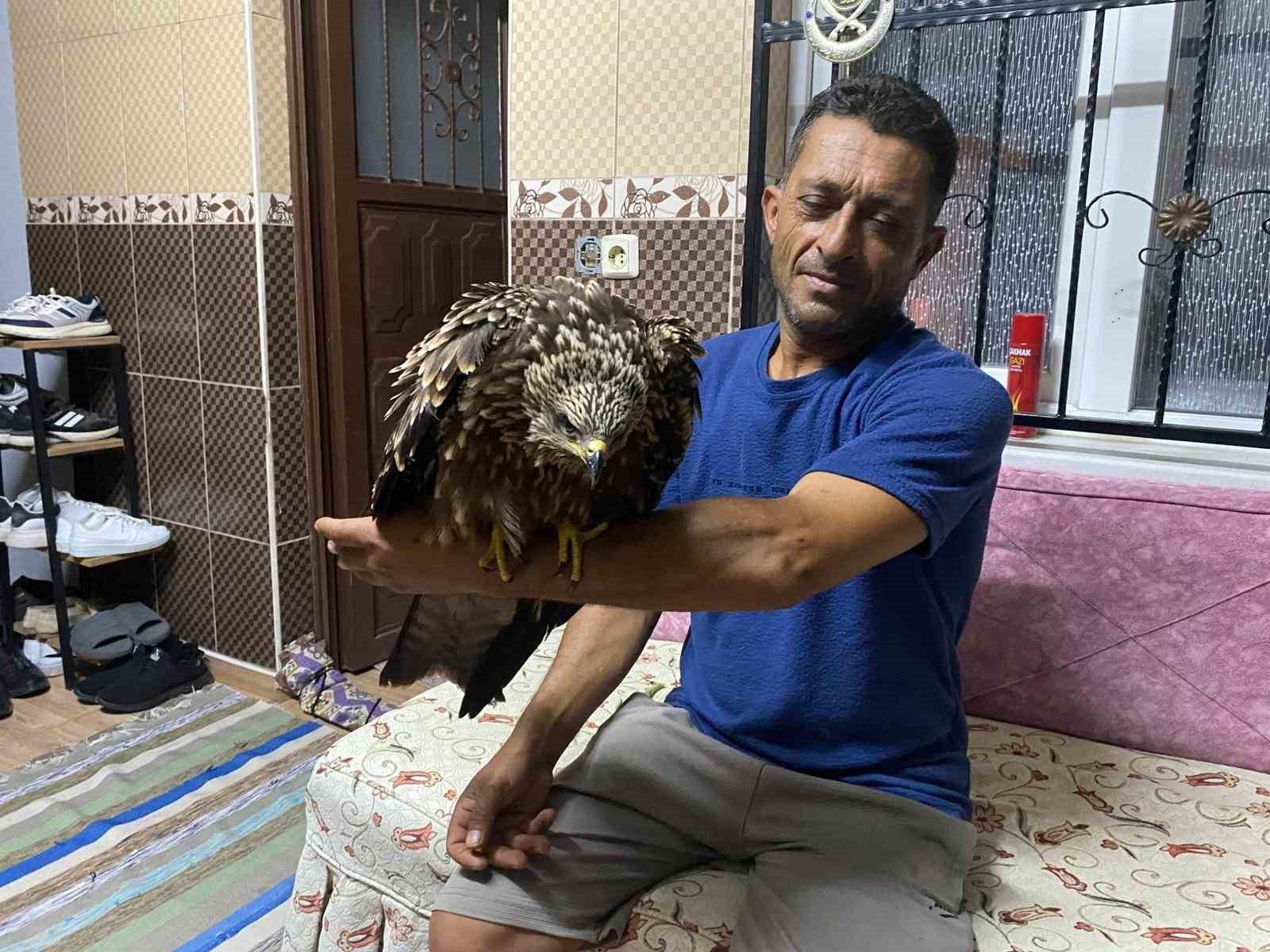 Bulduğu şahine ciğer dürüm söyledi