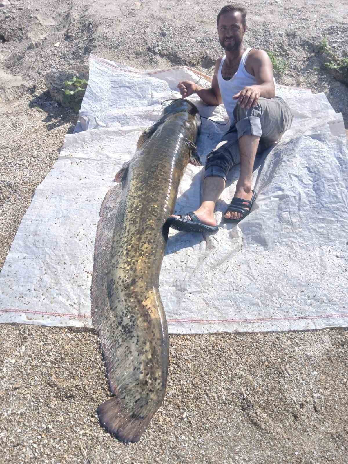 Manisa’da oltayla 2 metrelik yayın balığı yakaladı