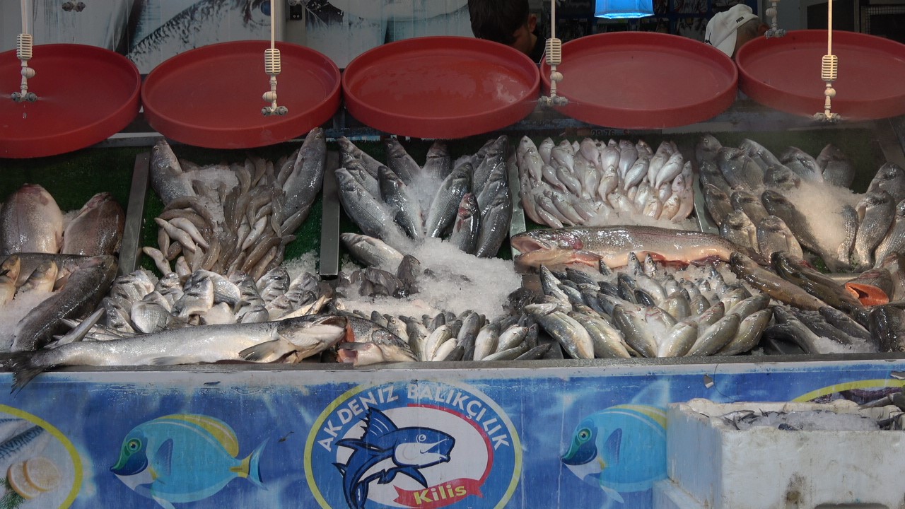 Balık sezonu açıldı, halk et ve tavuktan balığa yöneldi