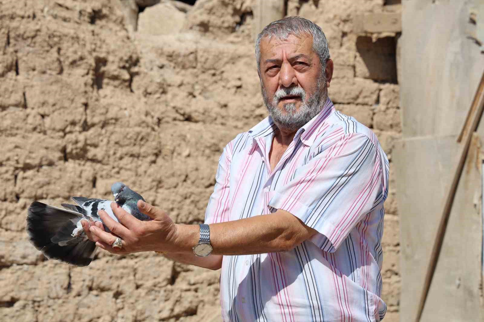 Banka kasası değil güvercin kümesi