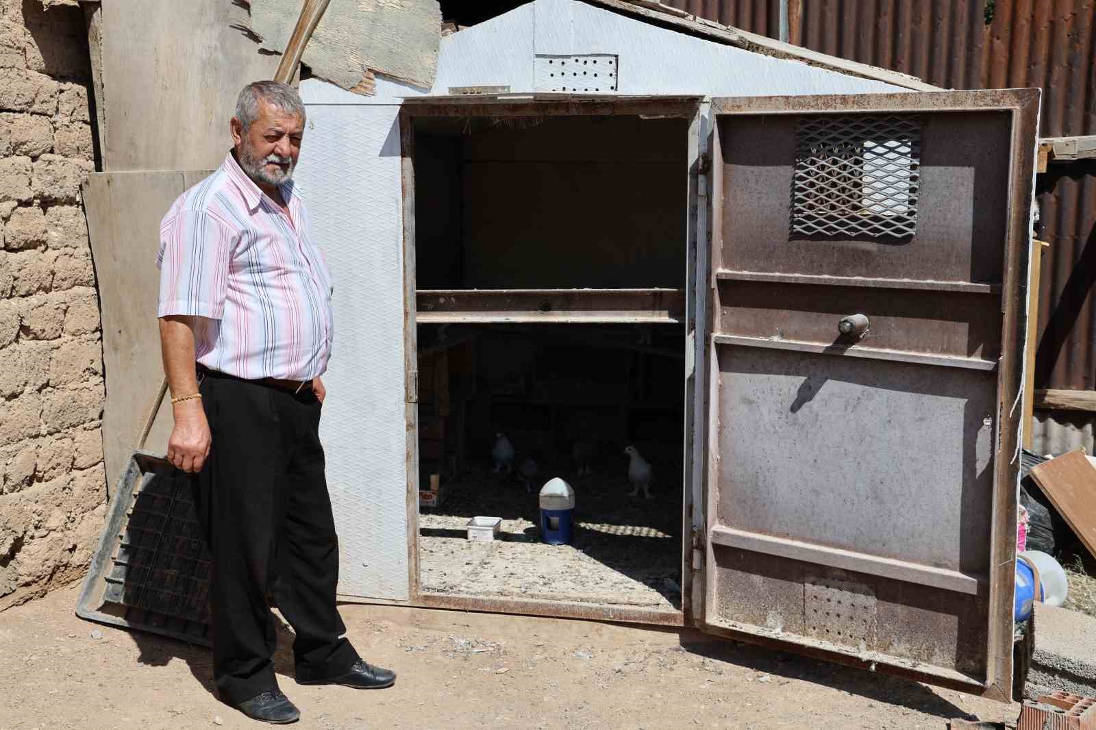 Banka kasası değil güvercin kümesi