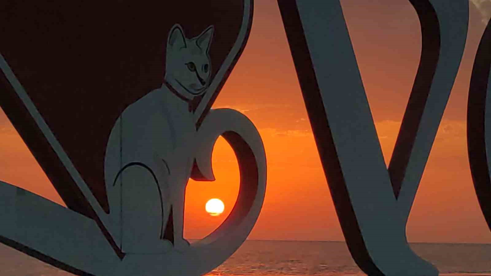 Van Gölü’nde gün batımı kartpostallık manzaralar oluşturdu