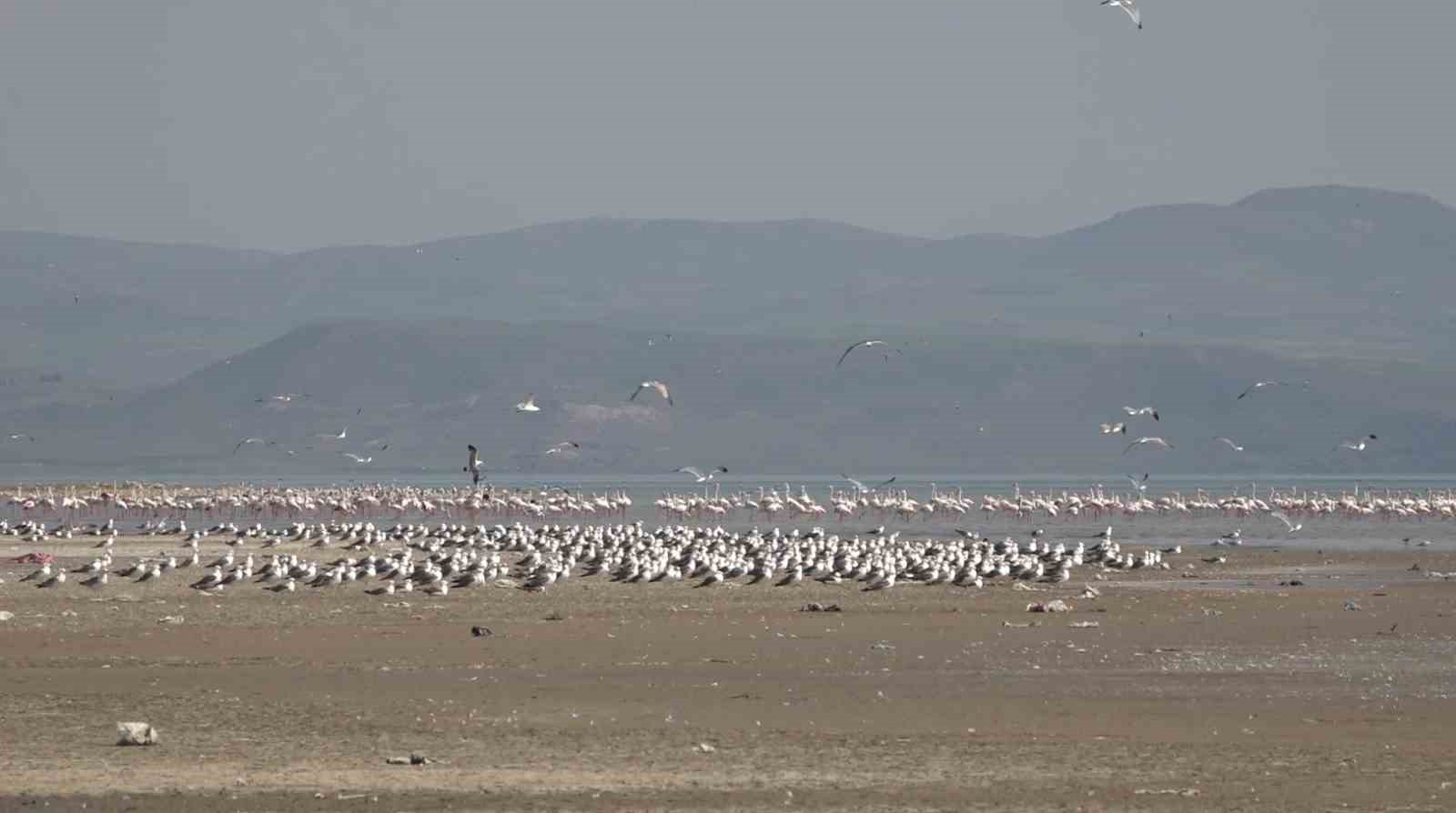 Van Gölü Havzası misafirlerini ağırlıyor