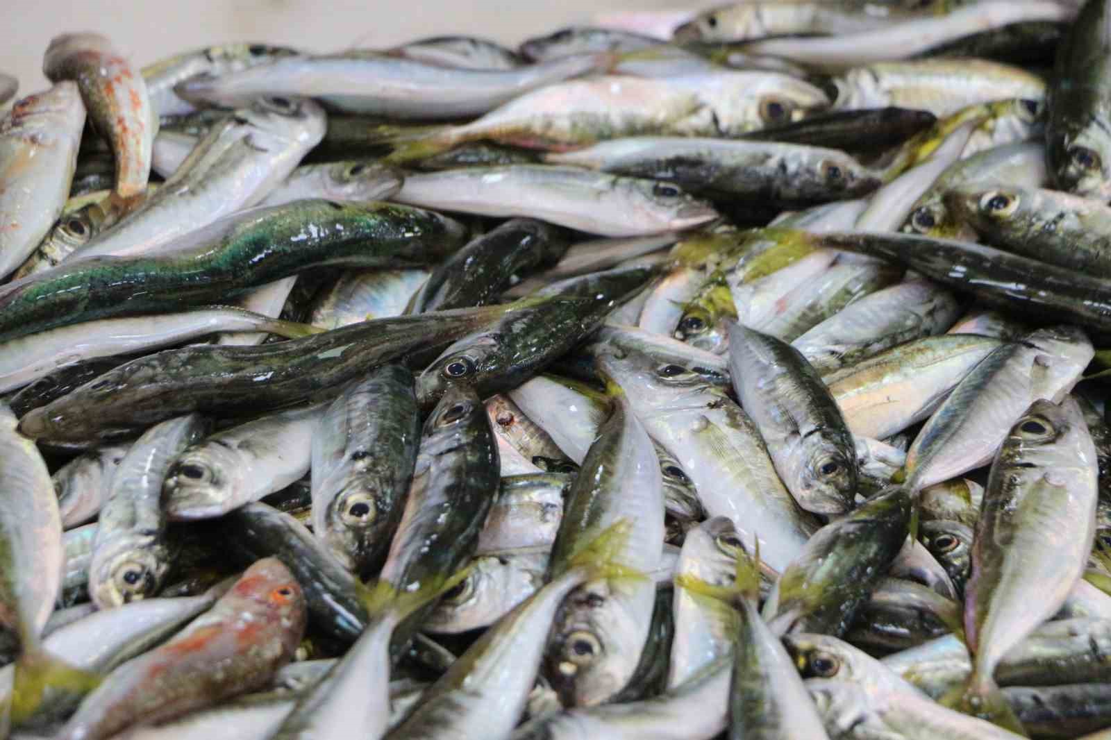 Balık yok ama umut var