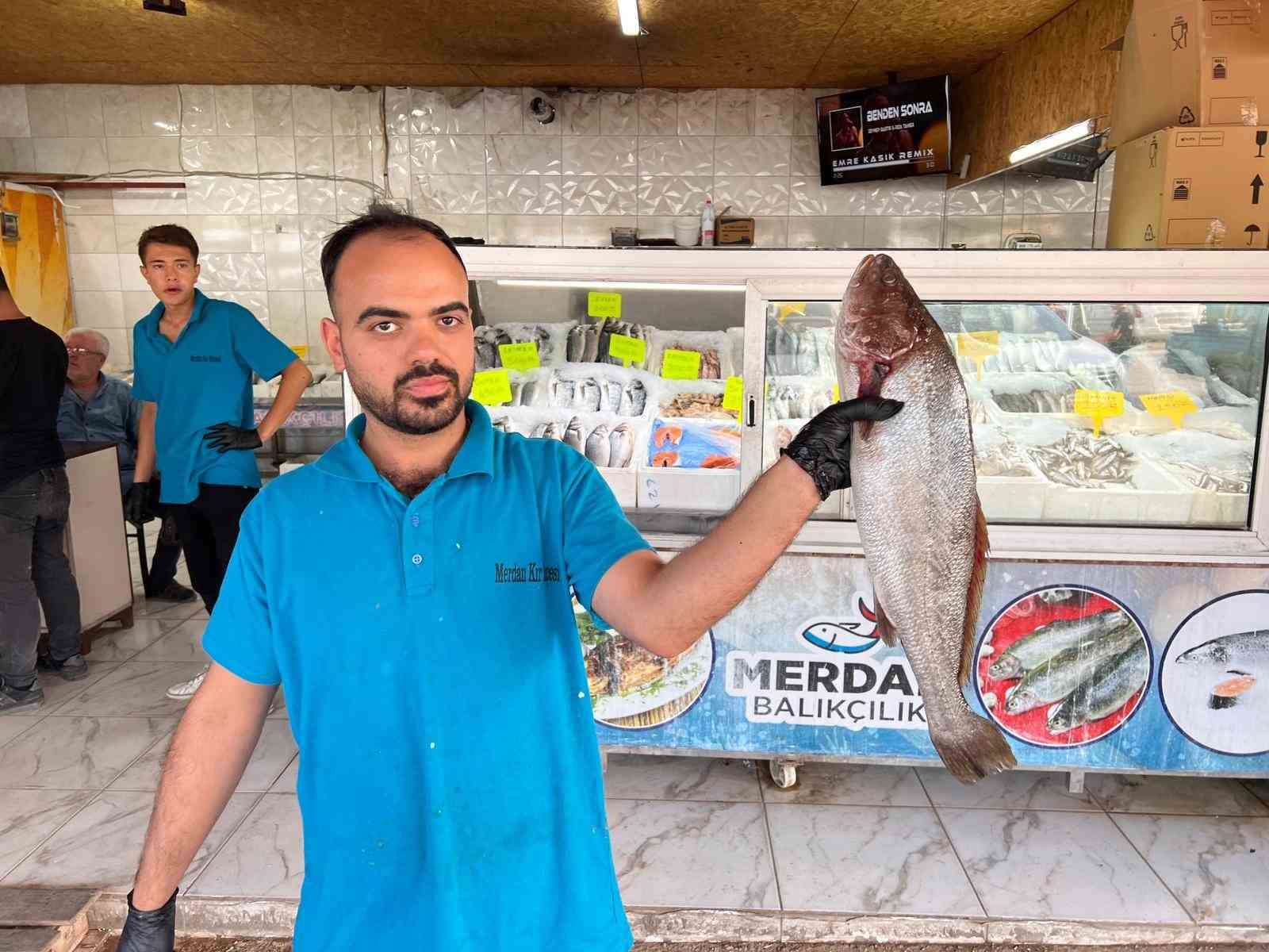 Deprem sonrası Kahramanmaraş’tan 54 ülkeye balık ihracatı