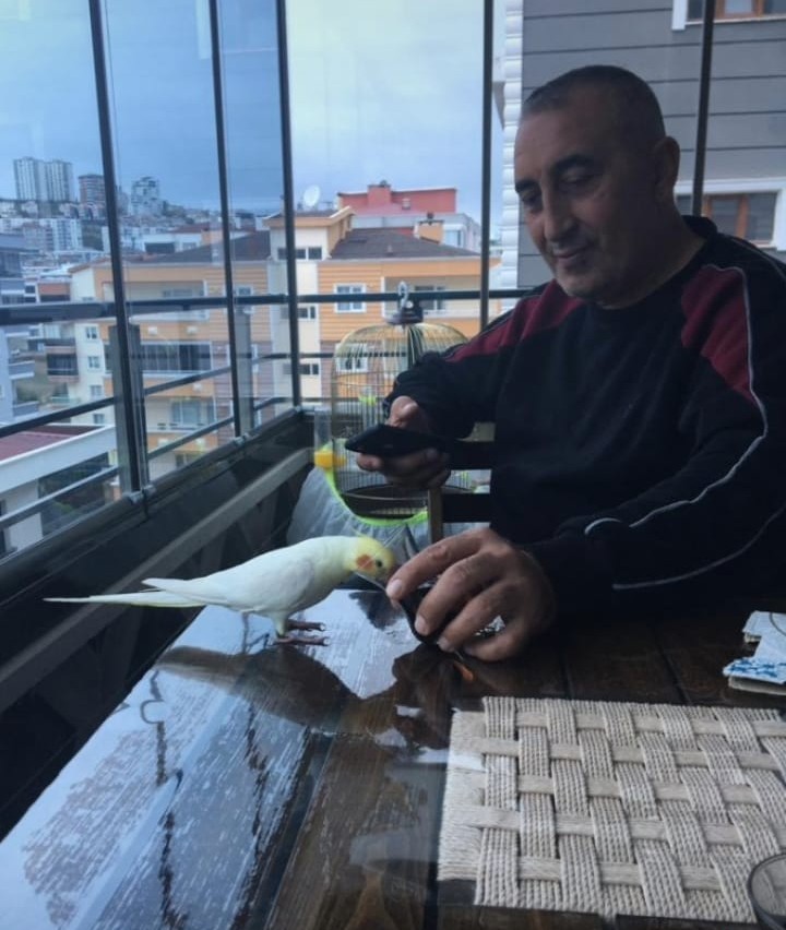 Kaçan sultan papağanı Paşa’yı bulana ödül verilecek