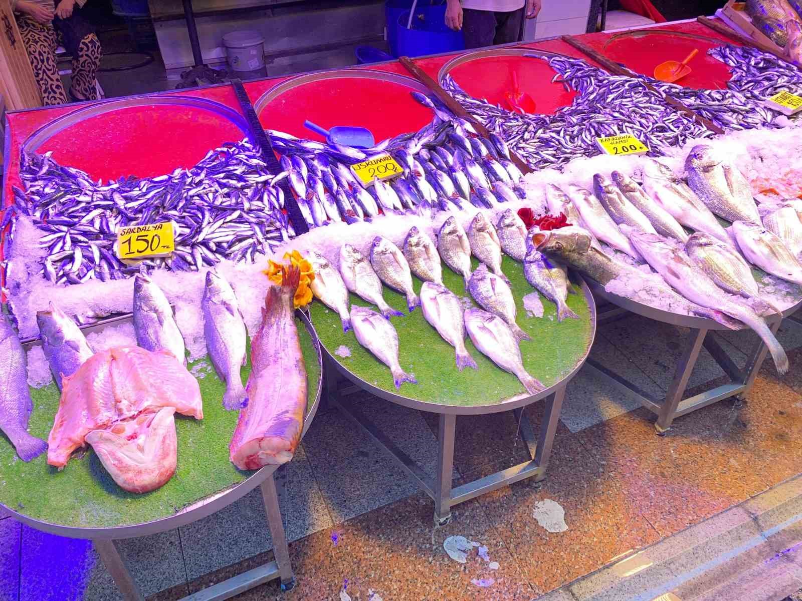 Balık sezonu bereketli başladı