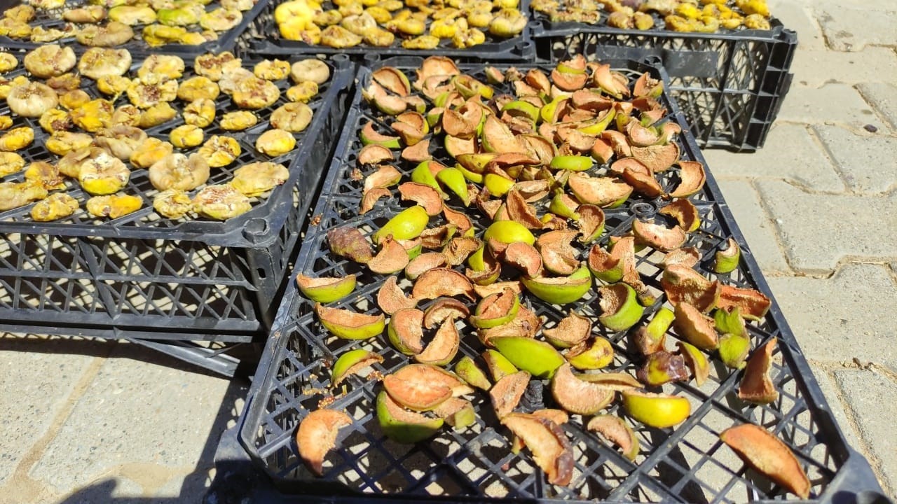 Uzun kış gecelerinde tüketmek için meyveler kurutuluyor