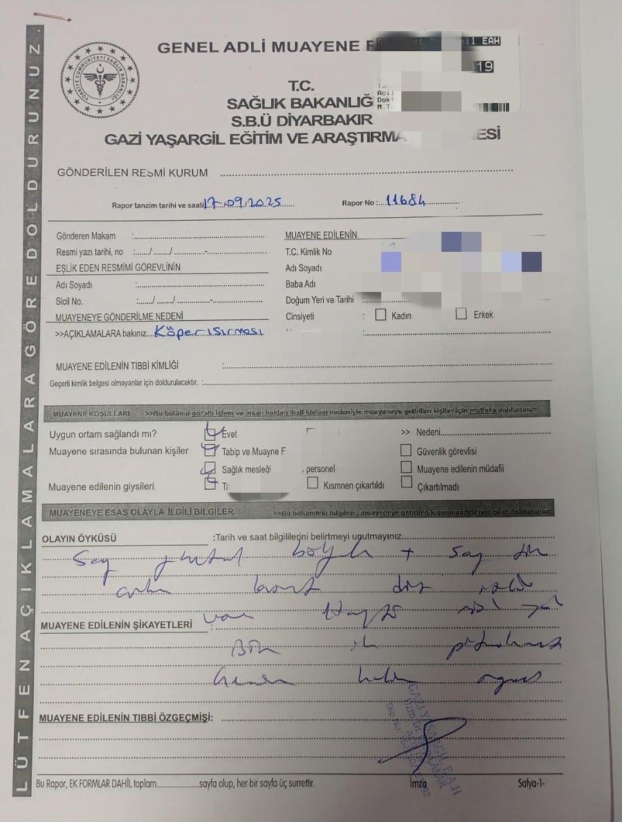 Sokak köpekleri faciaya neden oluyordu: Komşular yetişmeseydi parçalayacaklardı