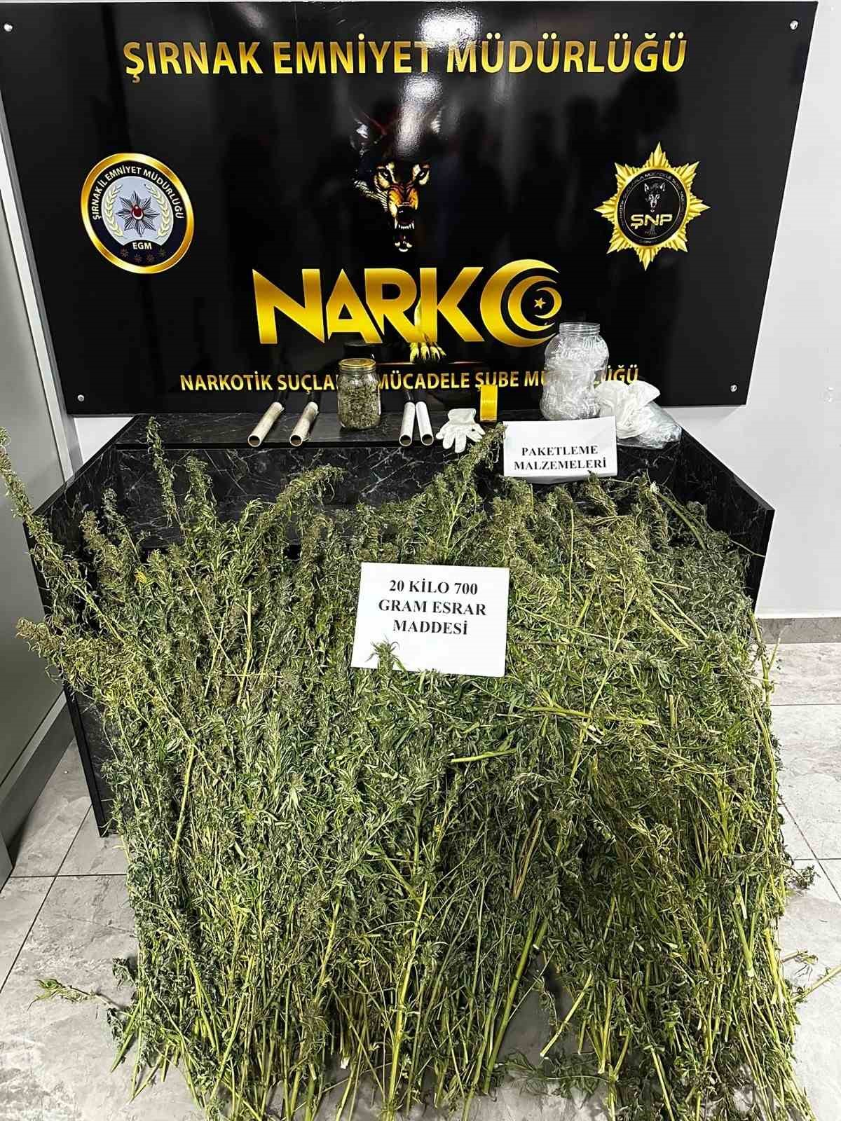 Şırnak’ta narkotik ve kaçakçılık operasyonunda 2 tutuklama