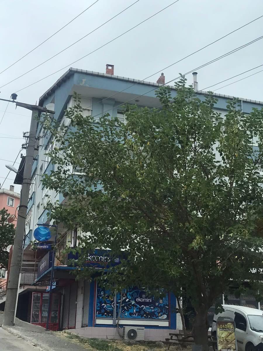 Ağaçların içinden geçen elektrik telleri tehlike saçıyor