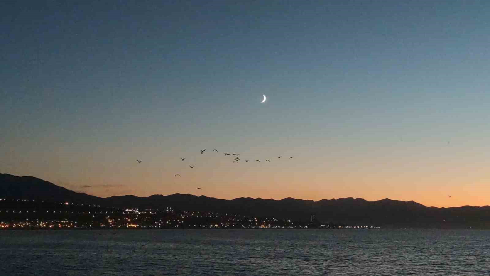 Van Gölü sahillerinde kuşların akşam göçü