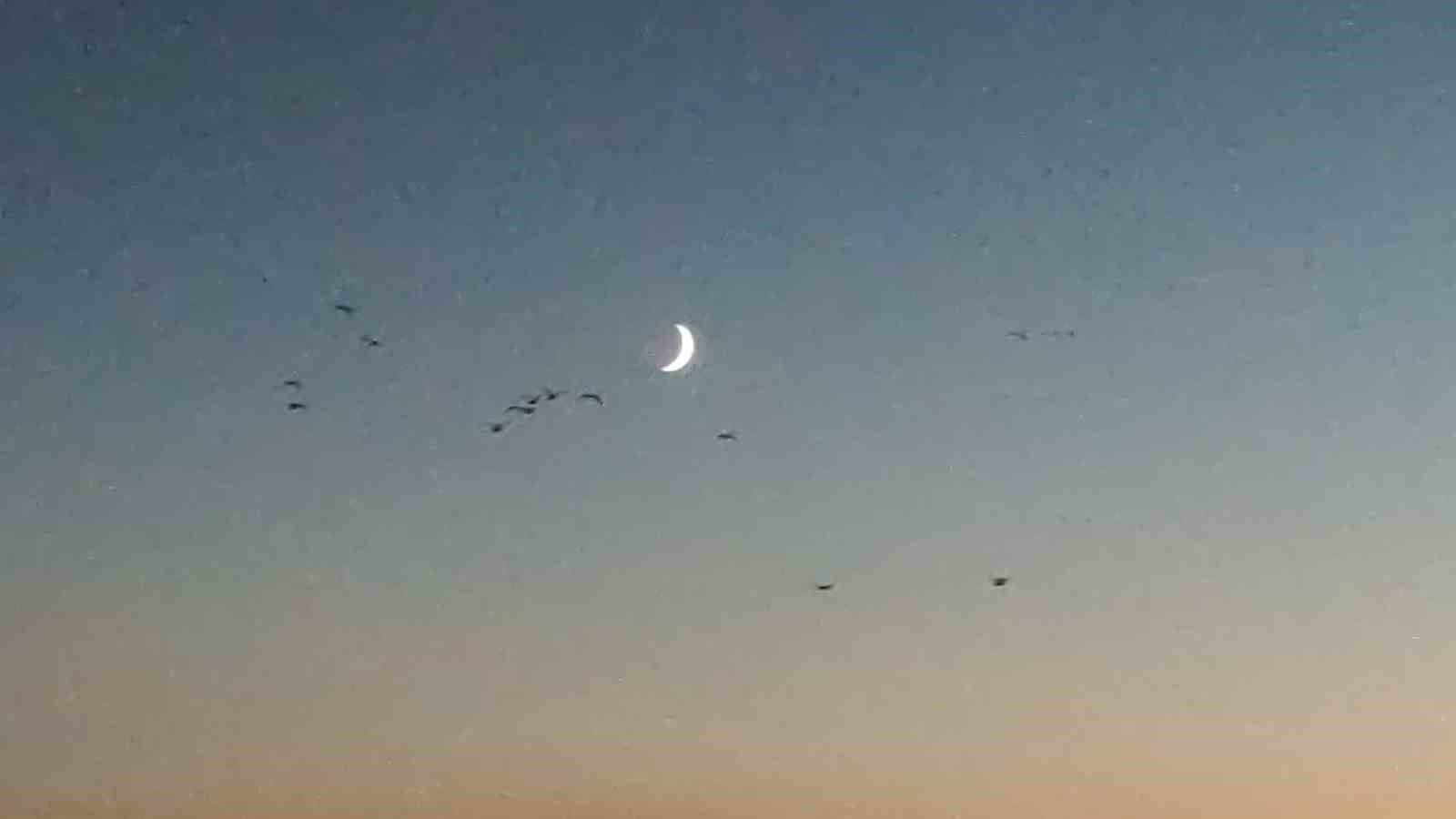 Van Gölü sahillerinde kuşların akşam göçü