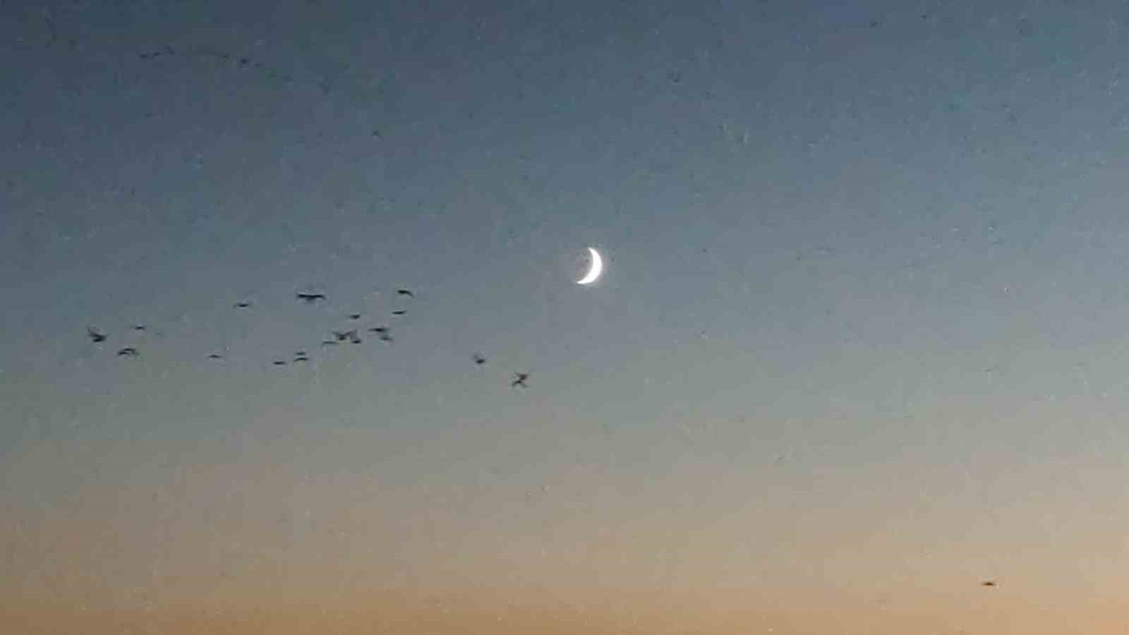 Van Gölü sahillerinde kuşların akşam göçü