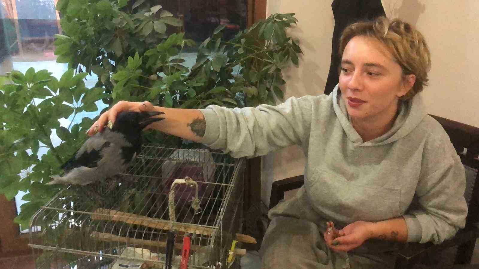 Kahvehane bağımlısı karga mahallenin maskotu haline geldi