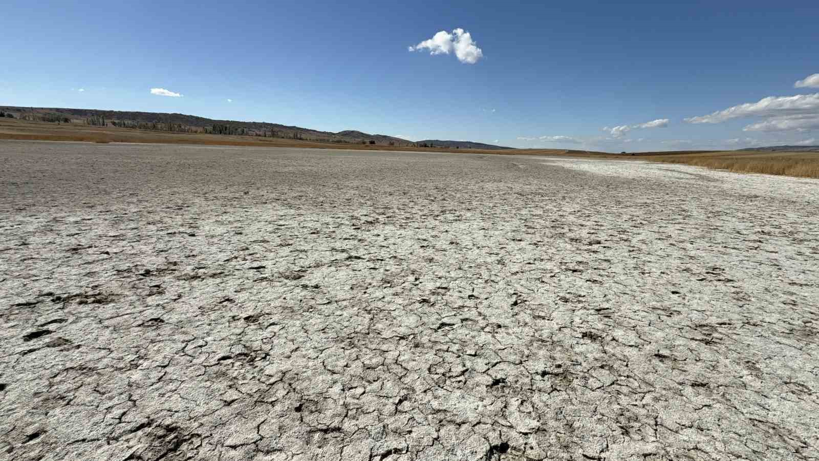 Kuşların dans ettiği Uylubağı göleti kuraklık nedeniyle çorak zemine dönüştü
