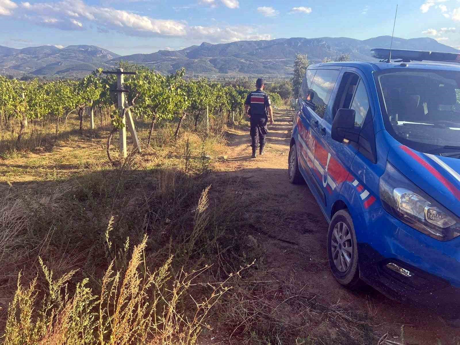 Bir yıllık emekleri çalınmasın diye gece gündüz nöbet tutuyorlar