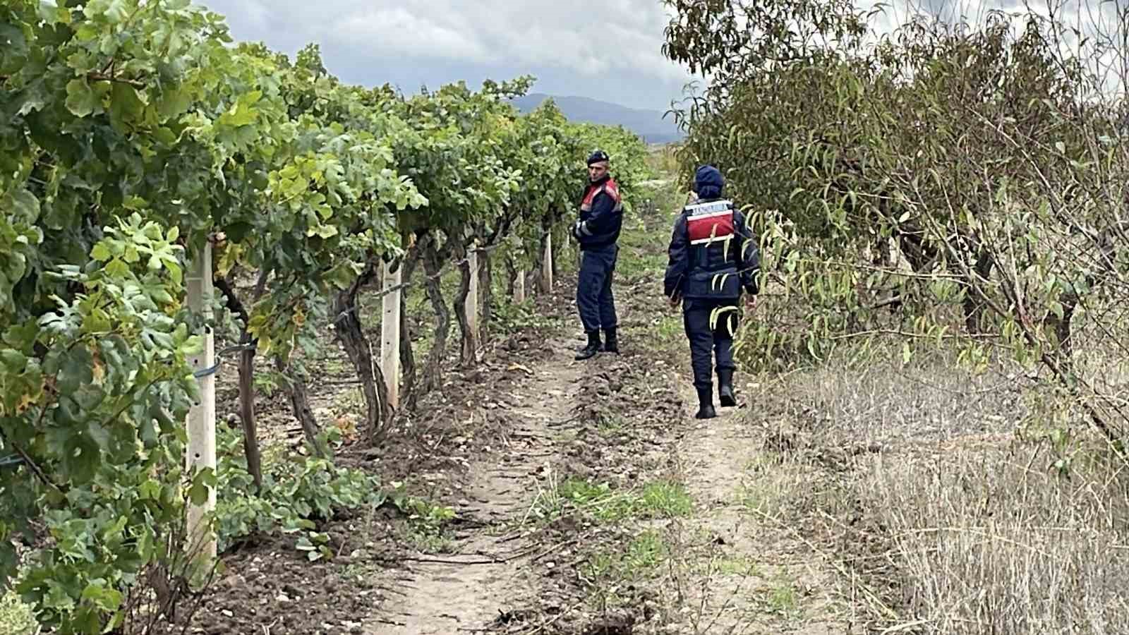 Bir yıllık emekleri çalınmasın diye gece gündüz nöbet tutuyorlar