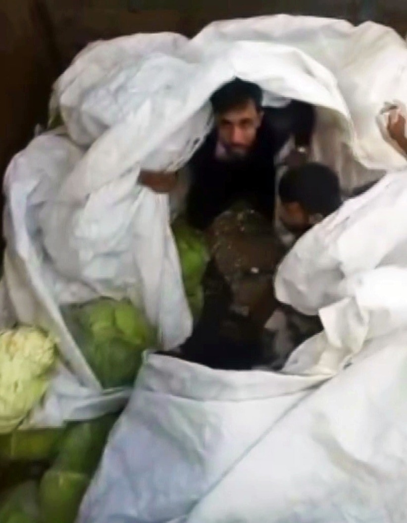 Lahana yüklü tırdan kaçak göçmenler çıktı