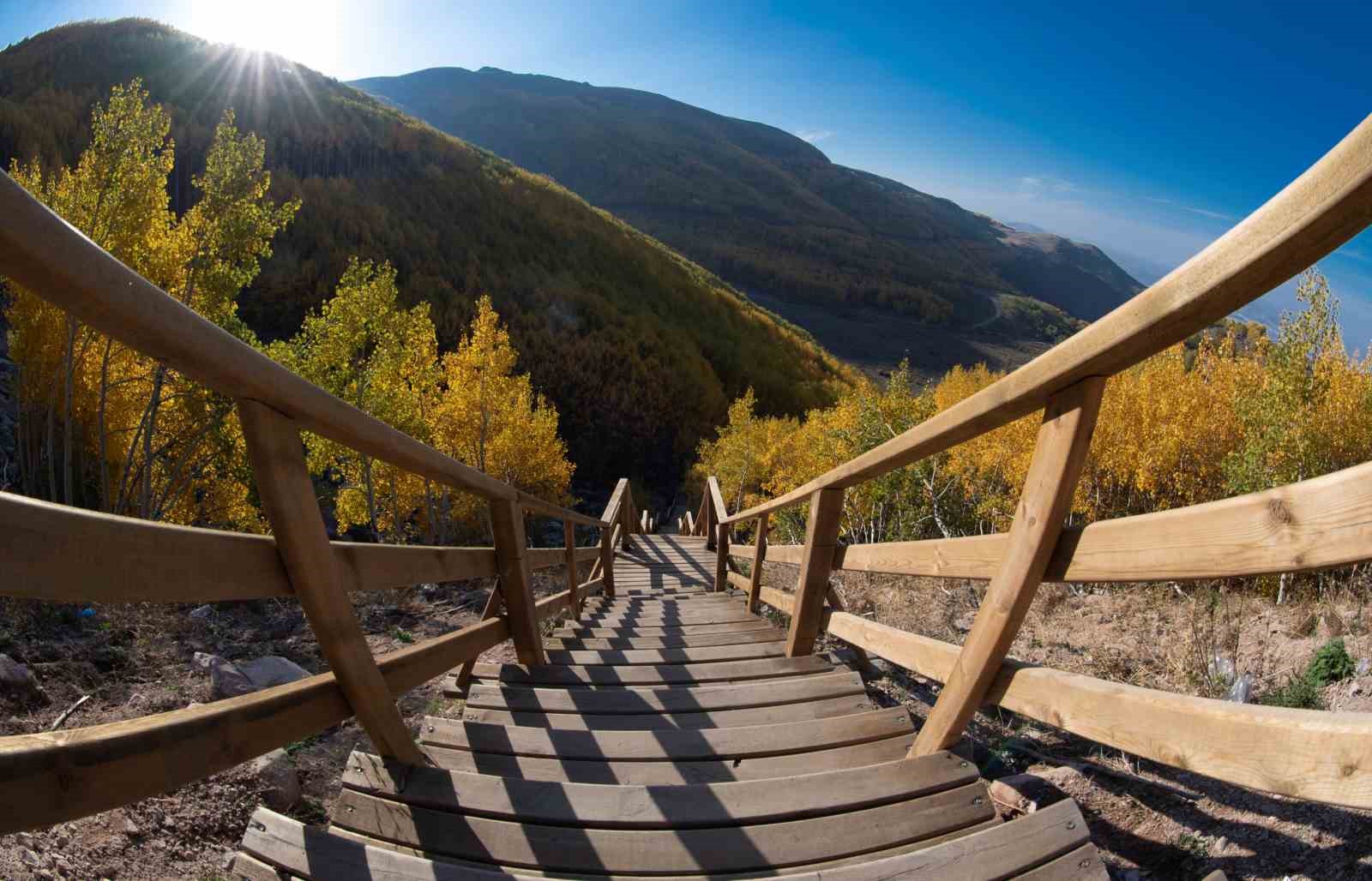 Doğaseverlerin Kayseri’deki saklı hazinesi: Ortaseki Ormanları