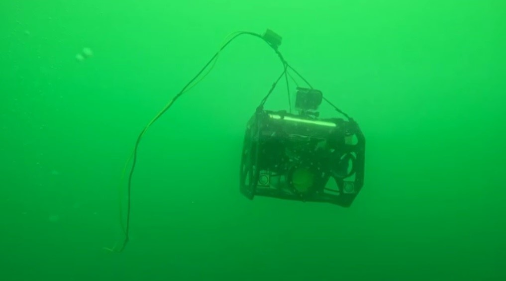 Denizlerin sessiz katili: Hayalet ağlar