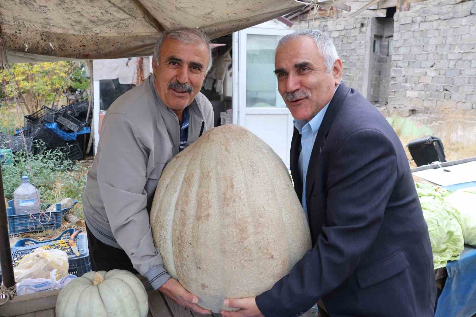 Ata tohumu 51 kiloluk dev kabak ilgi odağı oldu