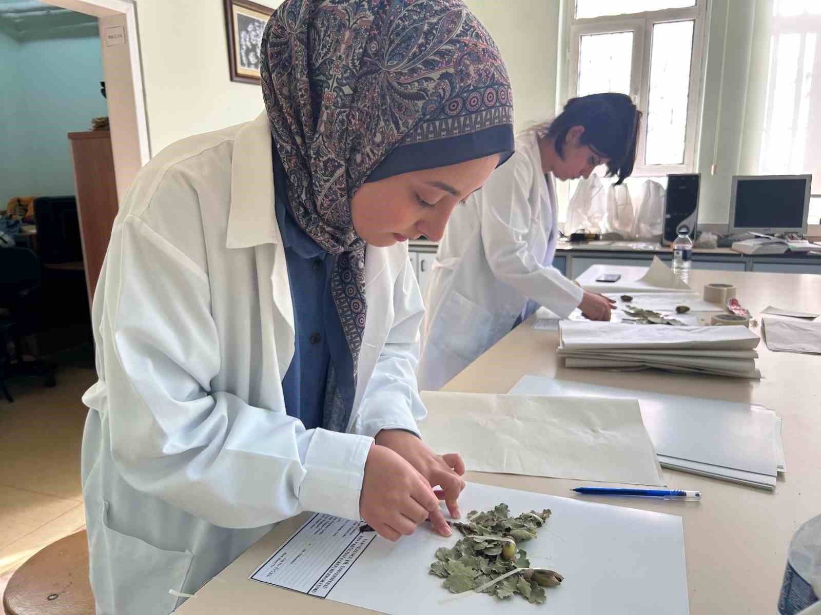 90 bin bitki örneğiyle bilimsel bir hazine: VANF Herbaryumu