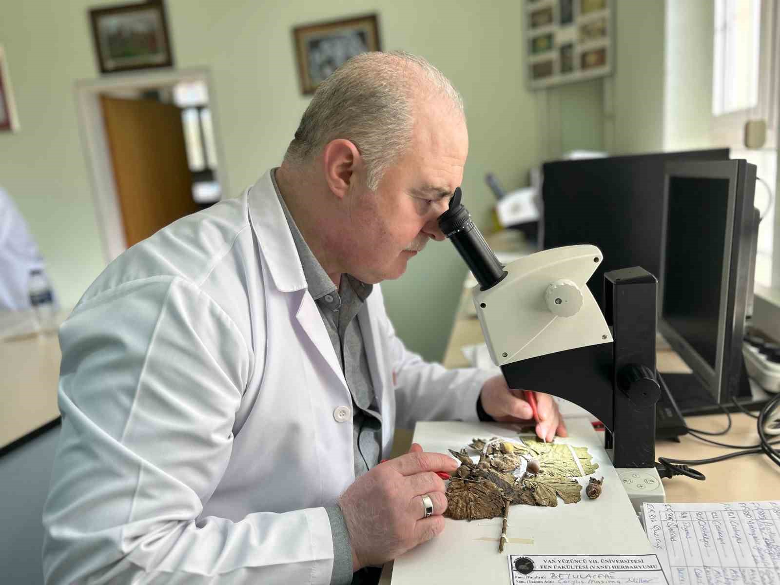 90 bin bitki örneğiyle bilimsel bir hazine: VANF Herbaryumu