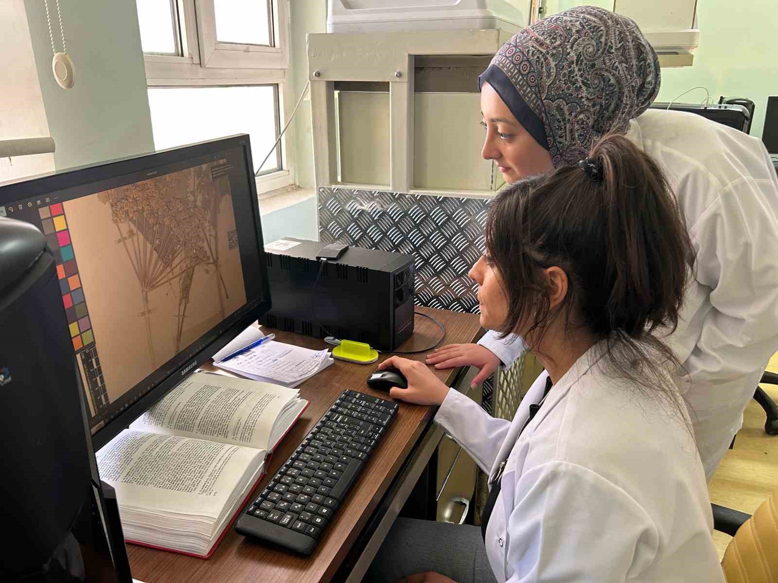 90 bin bitki örneğiyle bilimsel bir hazine: VANF Herbaryumu