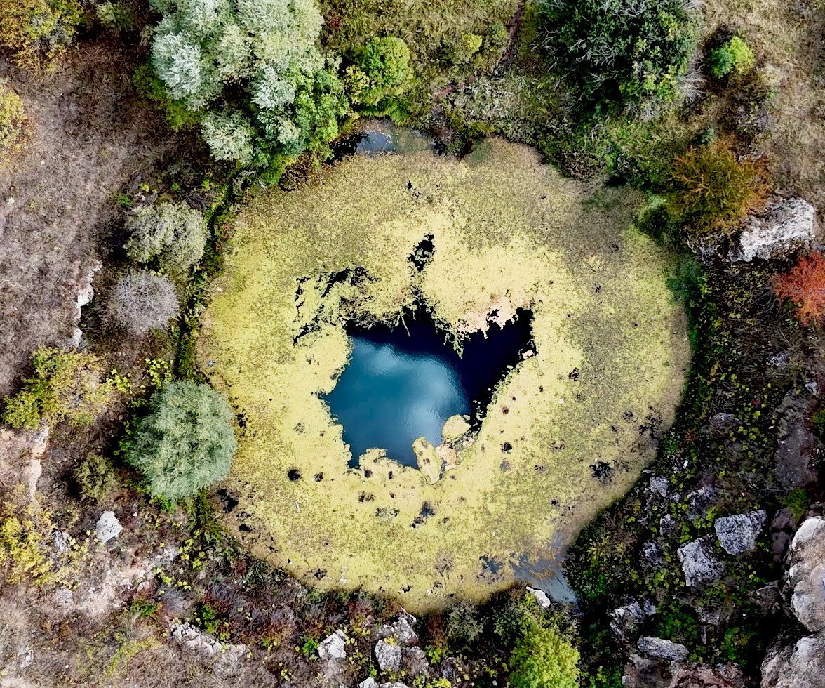 Timsah gözü hazan güzelliğiyle büyülüyor