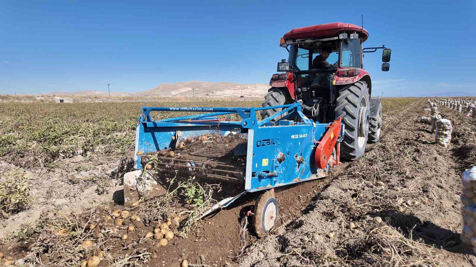 Erciş’te patates hasadı başladı