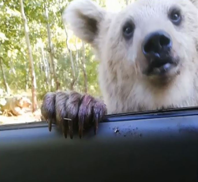 Prof. Dr. Lokman Aslan: 