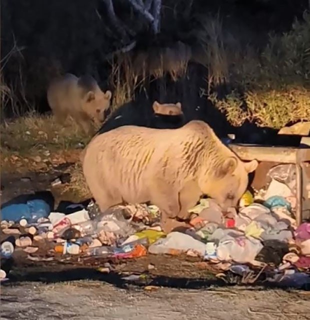 Prof. Dr. Lokman Aslan: 