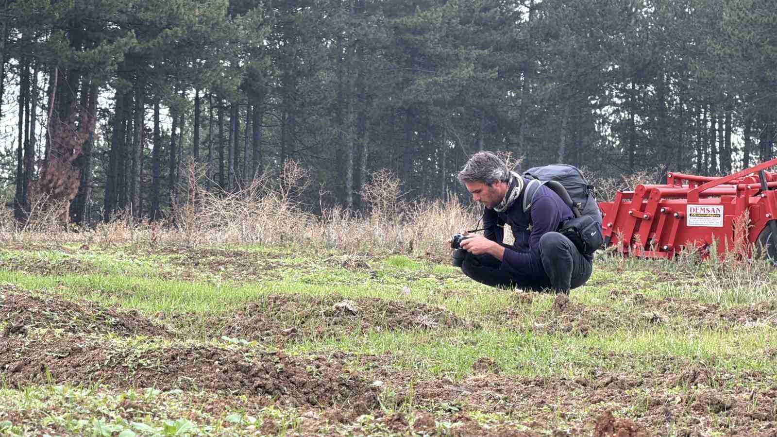 ’Dünyanın en pahalı baharatı’ safranın kilogramı 600 bin liradan satılacak
