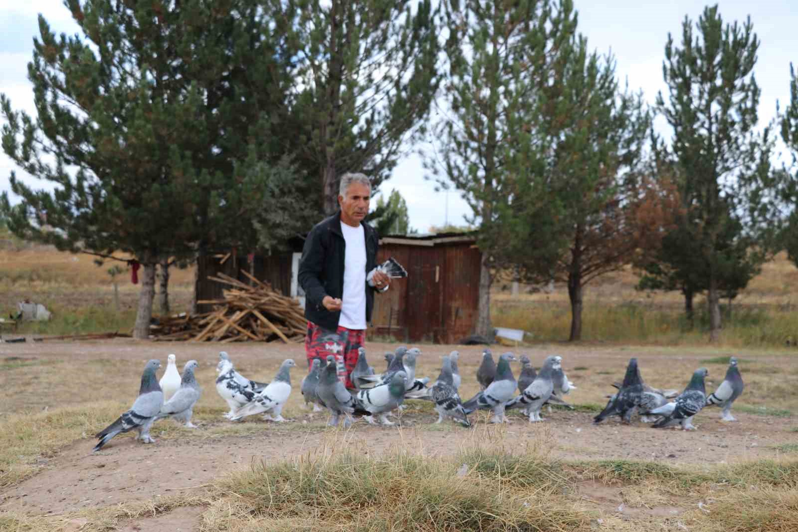 Değeri yarım milyondan fazla, yurt dışından bile talep görüyor