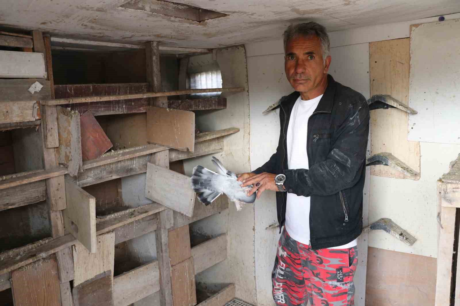 Değeri yarım milyondan fazla, yurt dışından bile talep görüyor