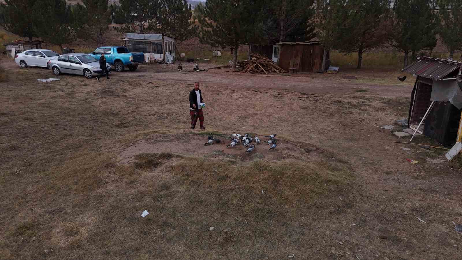 Değeri yarım milyondan fazla, yurt dışından bile talep görüyor