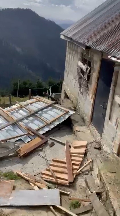 Rize yaylalarında ayı paniği: 20 ev talan edildi