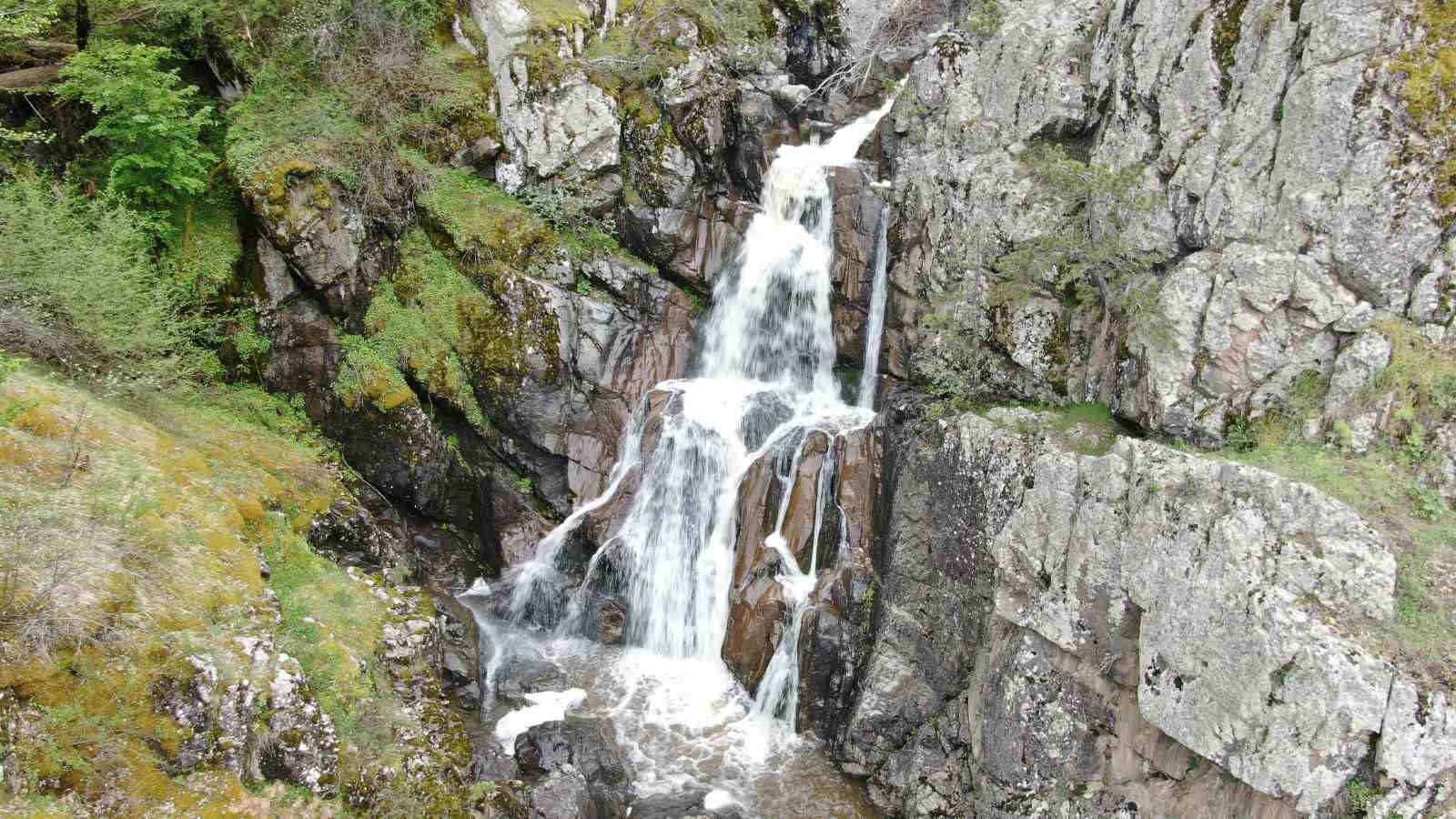 Ormanın içerisindeki şelale görenleri mest ediyor