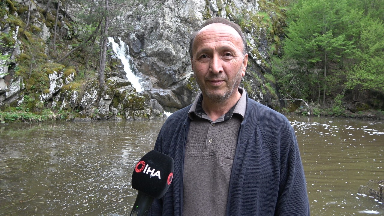 Ormanın içerisindeki şelale görenleri mest ediyor
