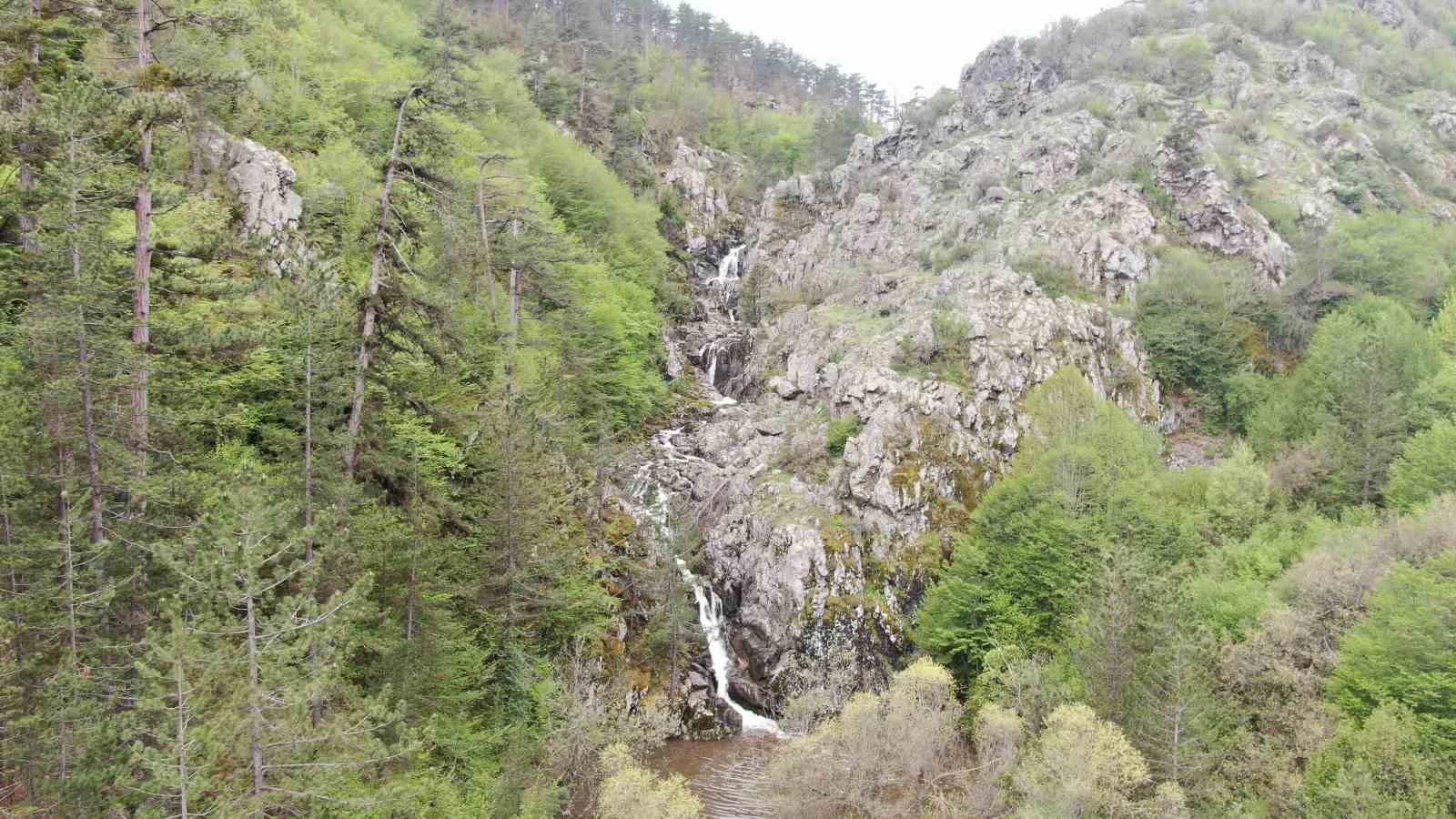 Ormanın içerisindeki şelale görenleri mest ediyor