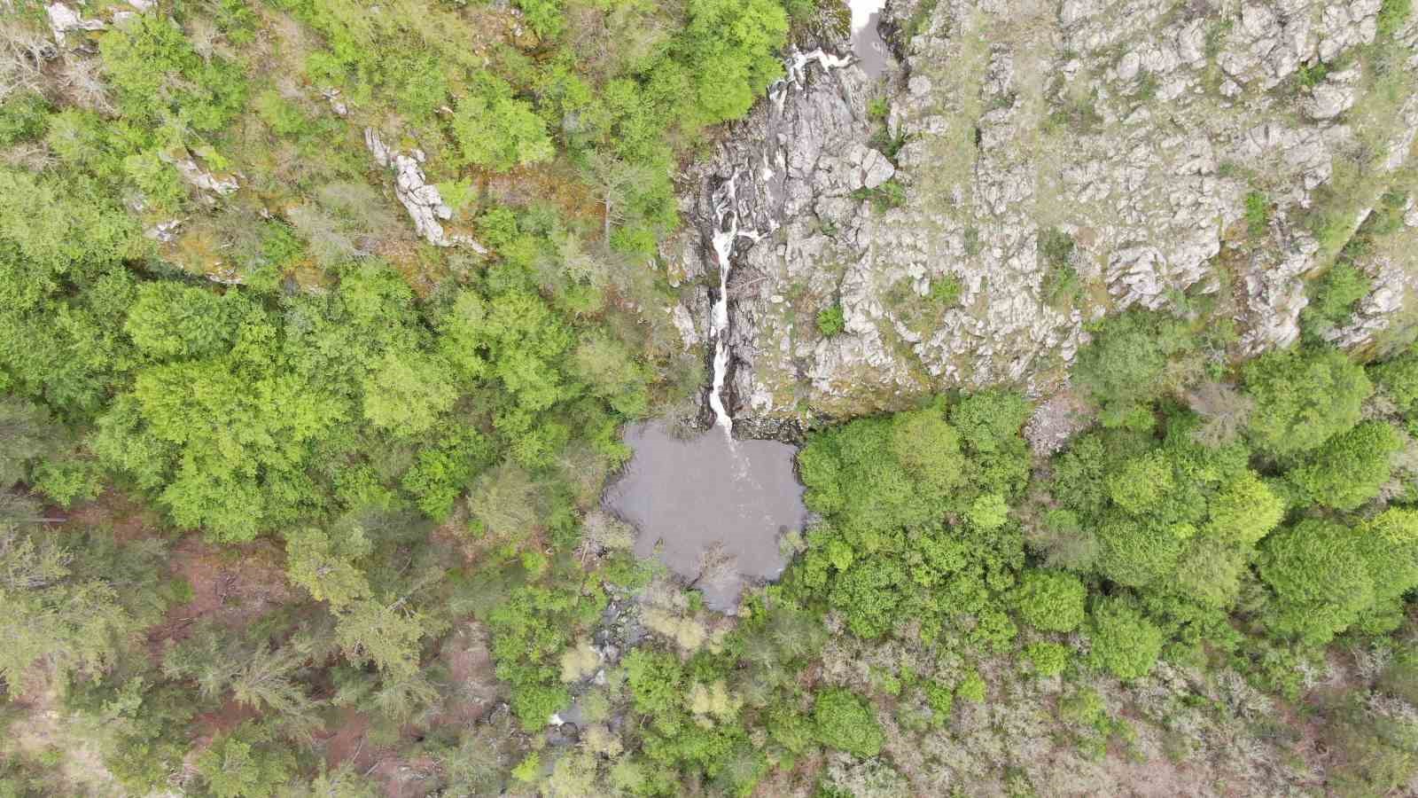 Ormanın içerisindeki şelale görenleri mest ediyor