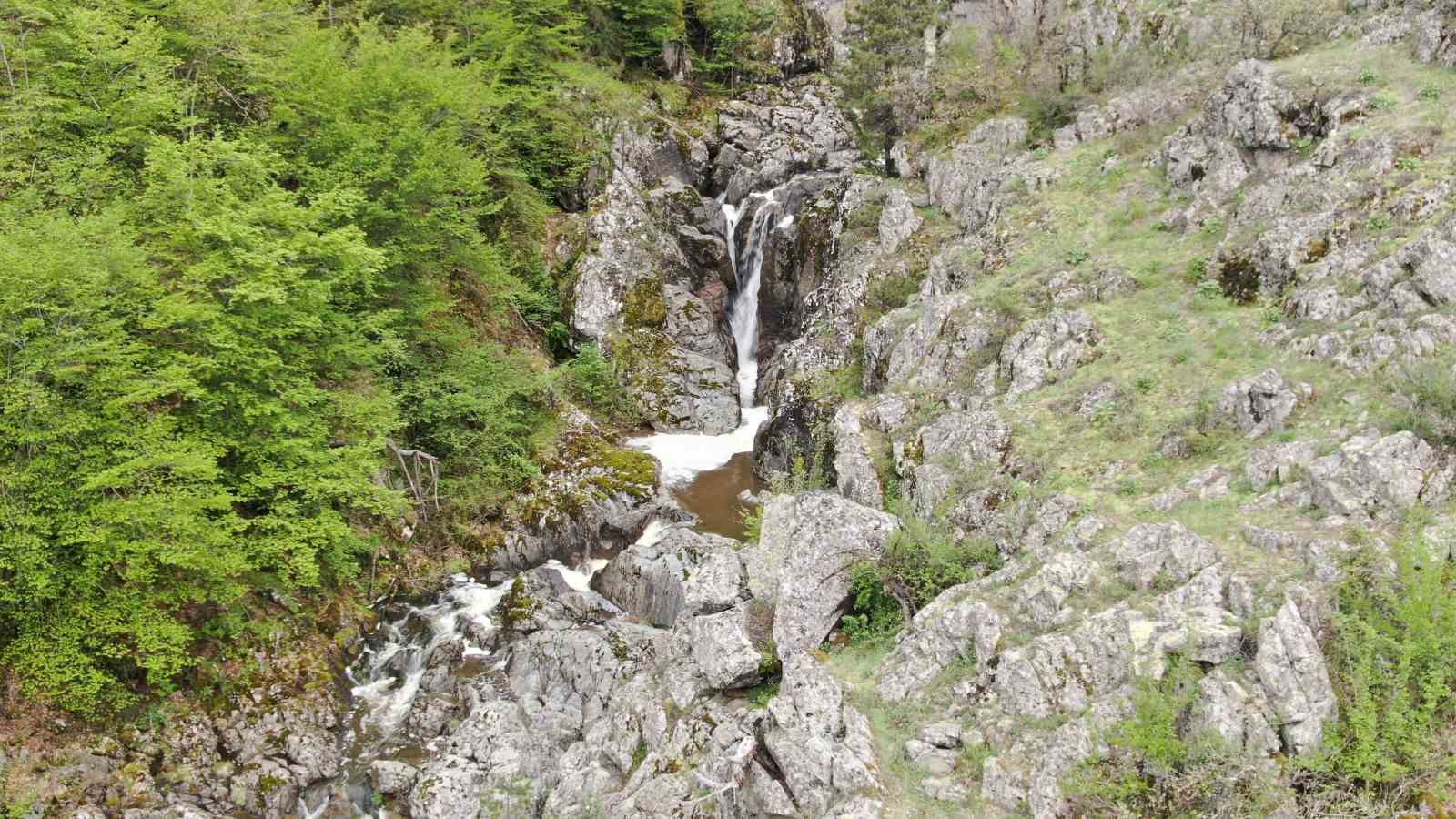 Ormanın içerisindeki şelale görenleri mest ediyor