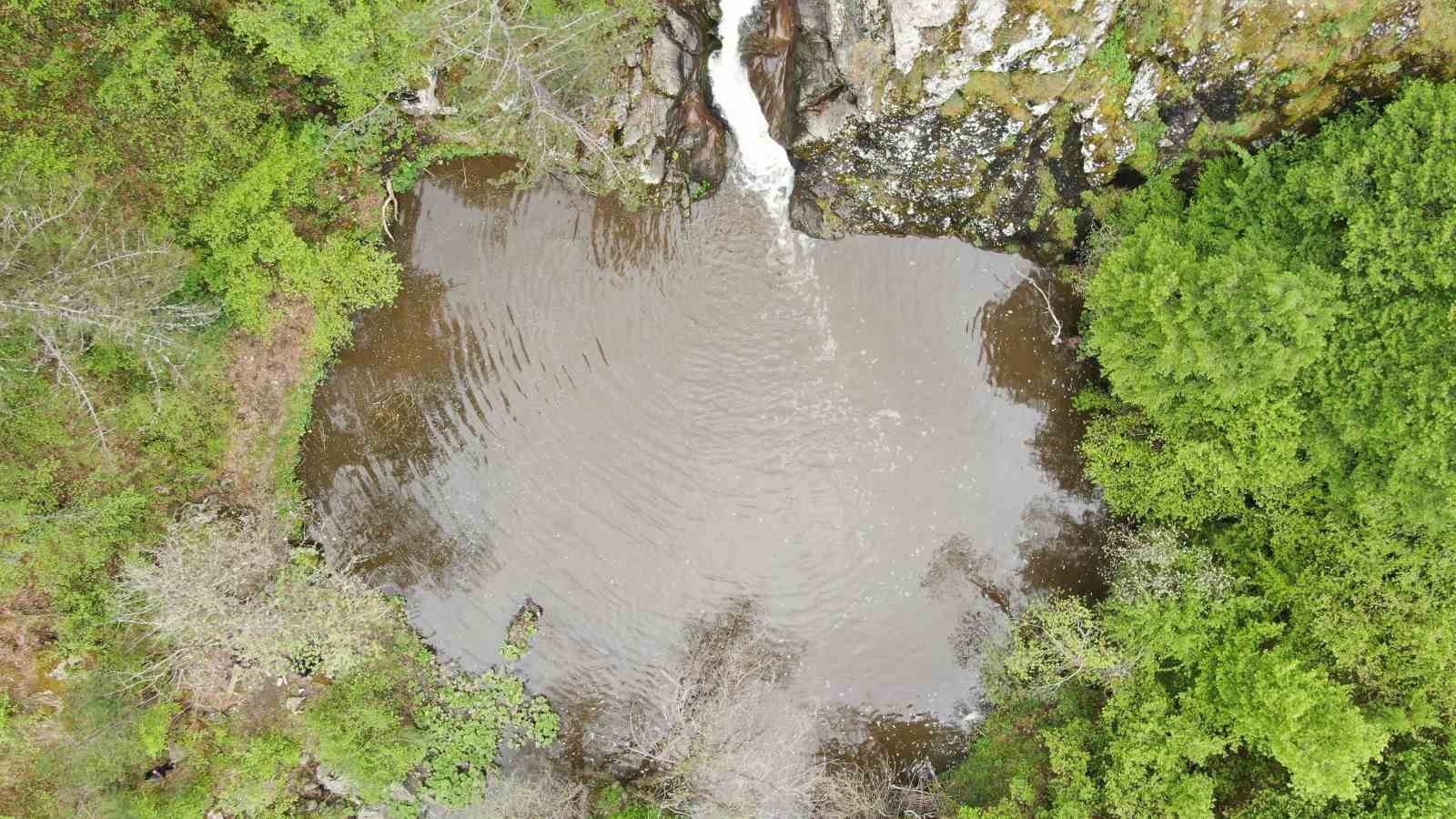 Ormanın içerisindeki şelale görenleri mest ediyor